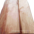 High quality cheap rotary cut Keruing wood veneer from SHANDONG